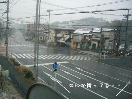 CIMG9359.JPG
