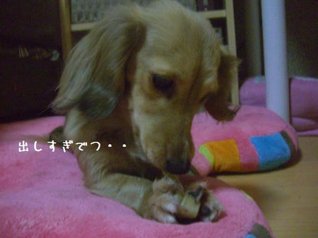CIMG9364.JPG