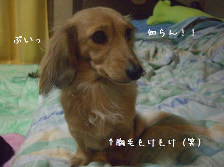 CIMG9596.JPG