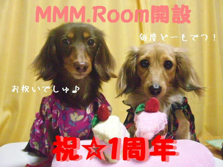 CIMG9602.JPG