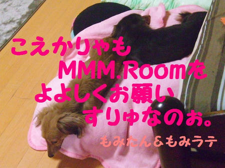 CIMG9606.JPG