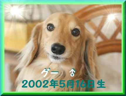 837b64d1.JPG