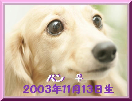 b7d21b7c.jpg