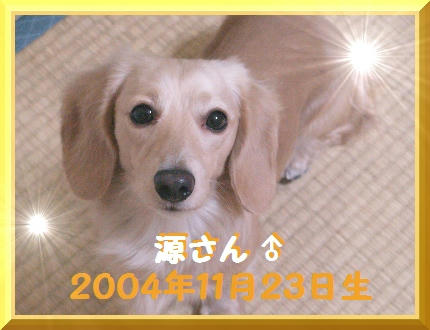 485f8731.JPG