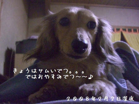 CIMG9635.JPG