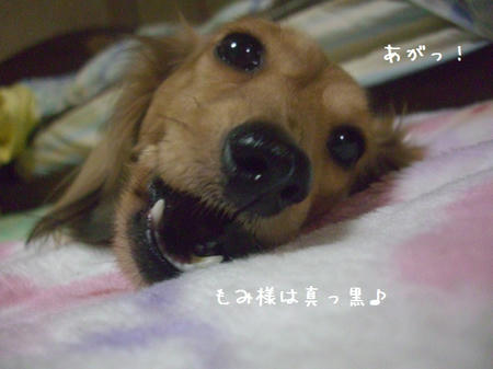 CIMG9679.JPG