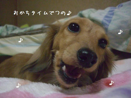 CIMG9680.JPG