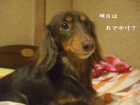 CIMG9872.JPG