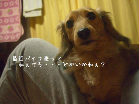 CIMG9873.JPG