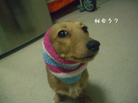 CIMG0026.JPG