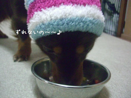 CIMG0028.JPG