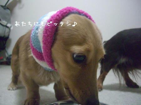 CIMG0029.JPG