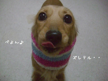 CIMG0031.JPG