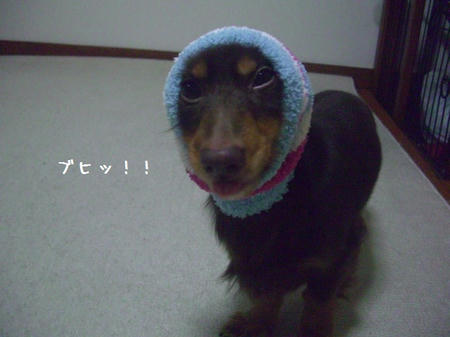 CIMG0032.JPG