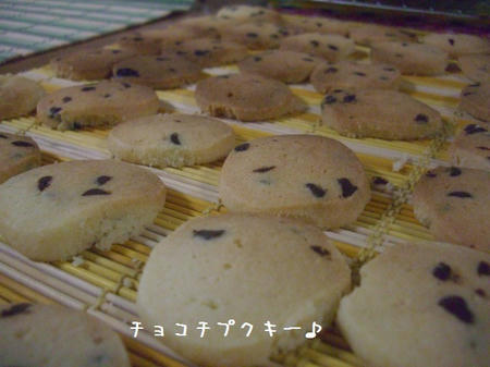 CIMG0062.JPG