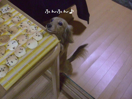 CIMG0065.JPG