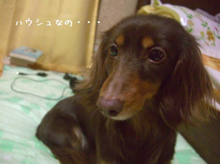CIMG0076.JPG
