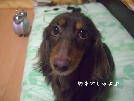 CIMG0077.JPG