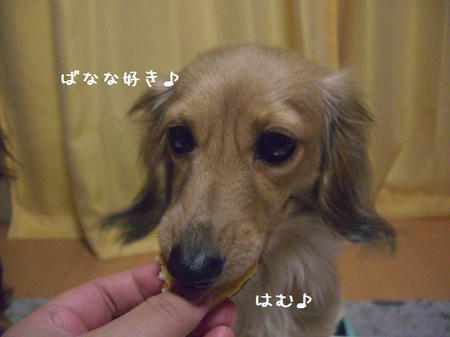 CIMG0094.JPG