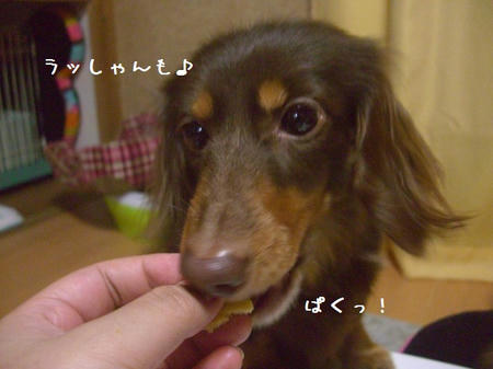 CIMG0095.JPG