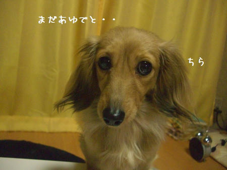 CIMG0096.JPG
