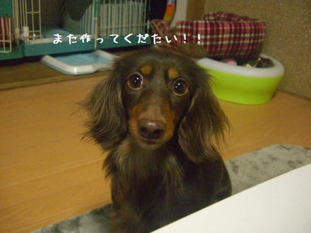 CIMG0097.JPG