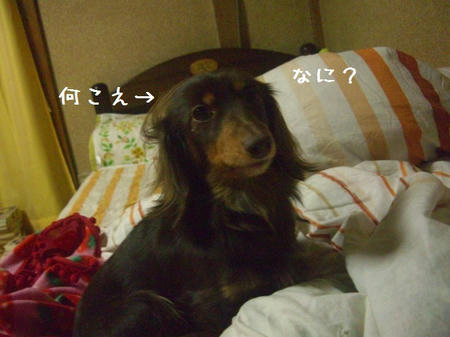 CIMG0134.JPG