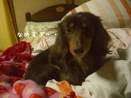 CIMG0138.JPG