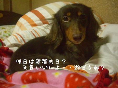 CIMG0139.JPG
