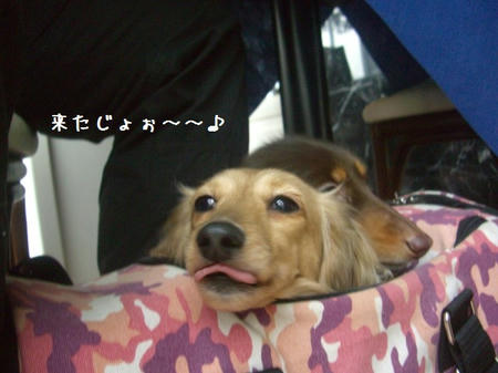 CIMG0263.JPG