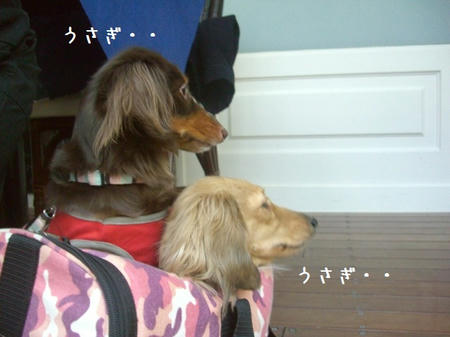 2222244a.JPG