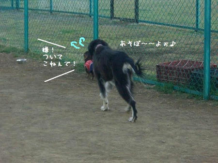 71619430.JPG