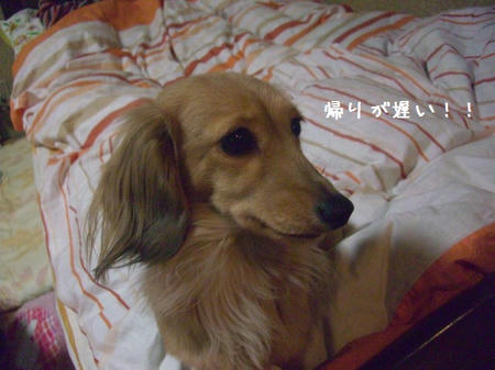 CIMG0305.JPG