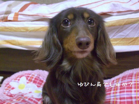 3ca88950.JPG