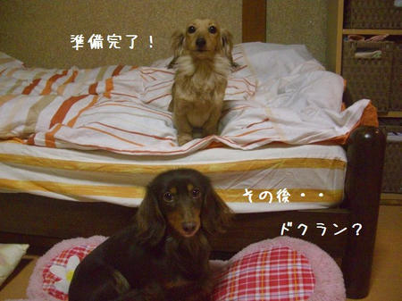 CIMG0311.JPG