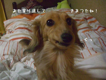 CIMG0337.JPG