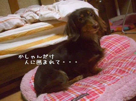 CIMG0340.JPG