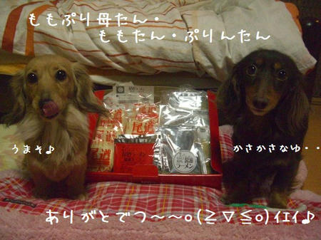 CIMG0374.JPG