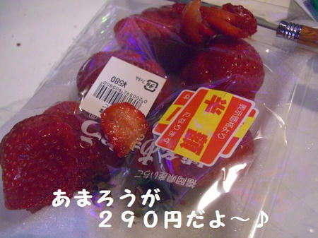 CIMG0377.JPG
