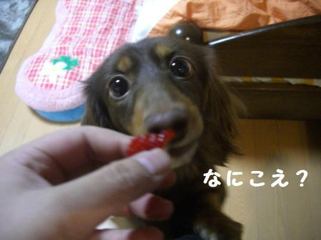CIMG0380.JPG
