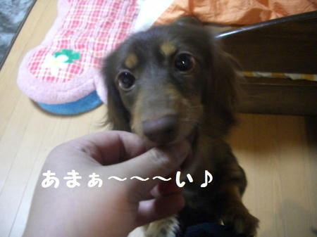 CIMG0381.JPG