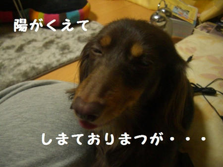 c75c72fb.JPG