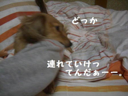 CIMG0427.JPG