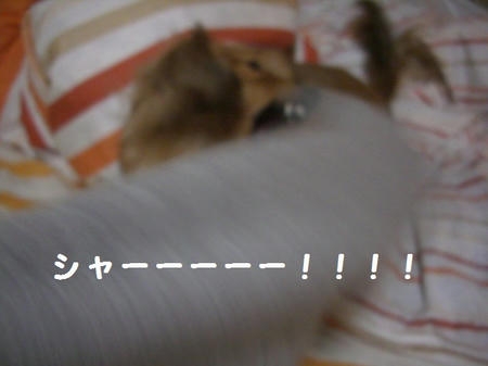 CIMG0428.JPG