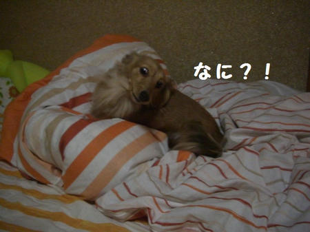 CIMG0429.JPG