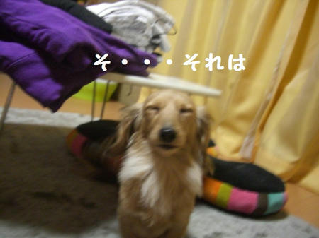 CIMG0430.JPG