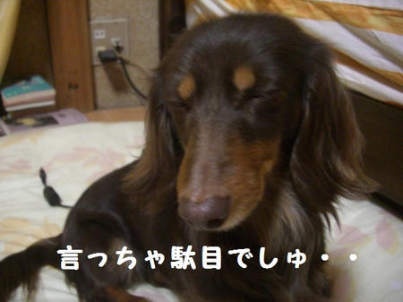CIMG0431.JPG