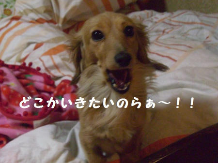 CIMG0518.JPG