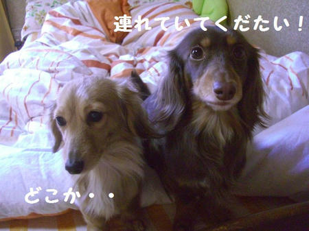 CIMG0519.JPG
