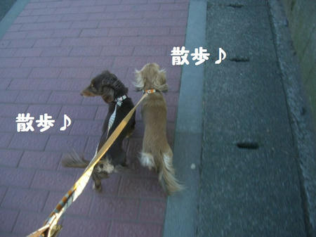 CIMG0520.JPG